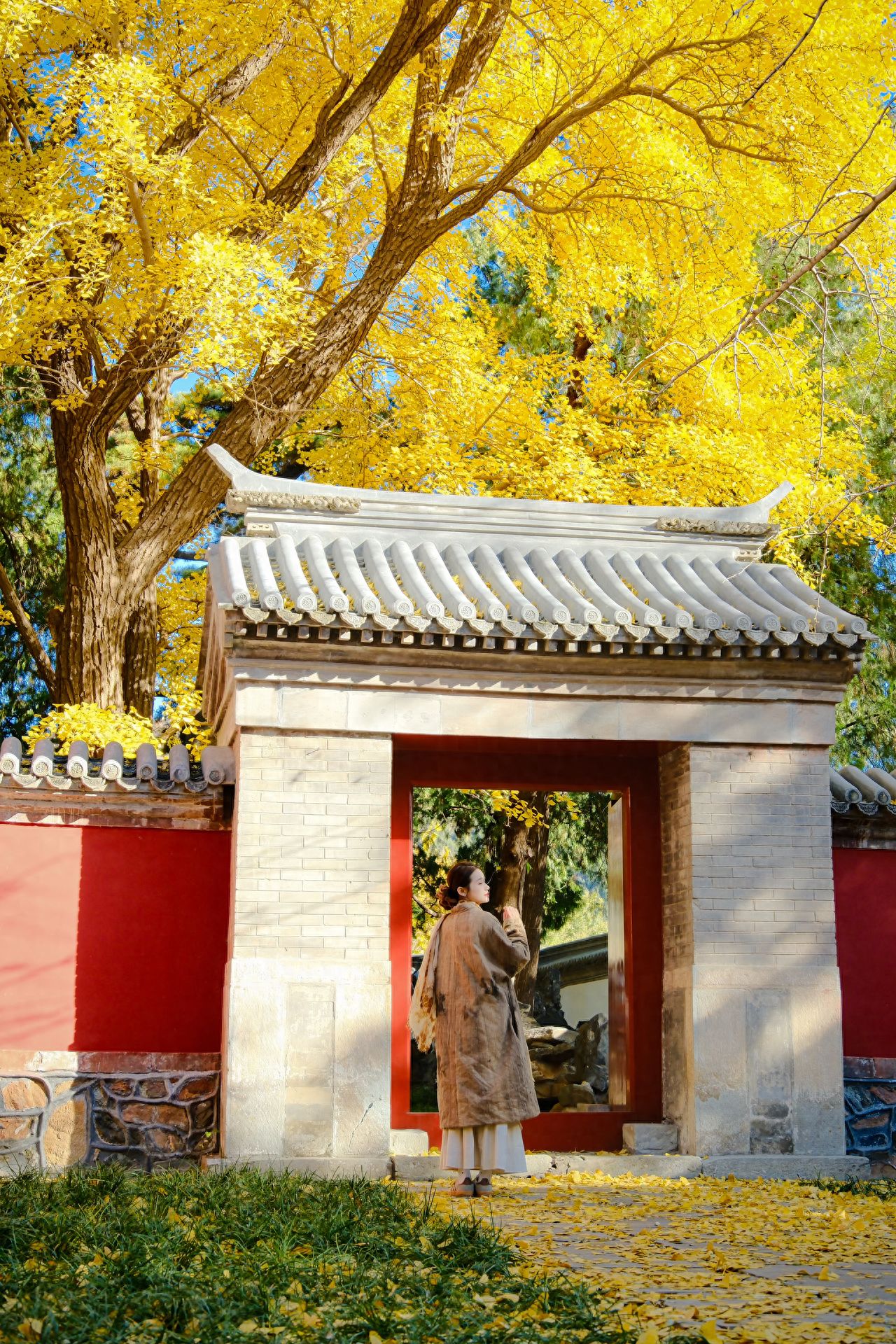 Photo by Beijing Xiangshan Park - Vintage Red Gates and Ginkgo Trees