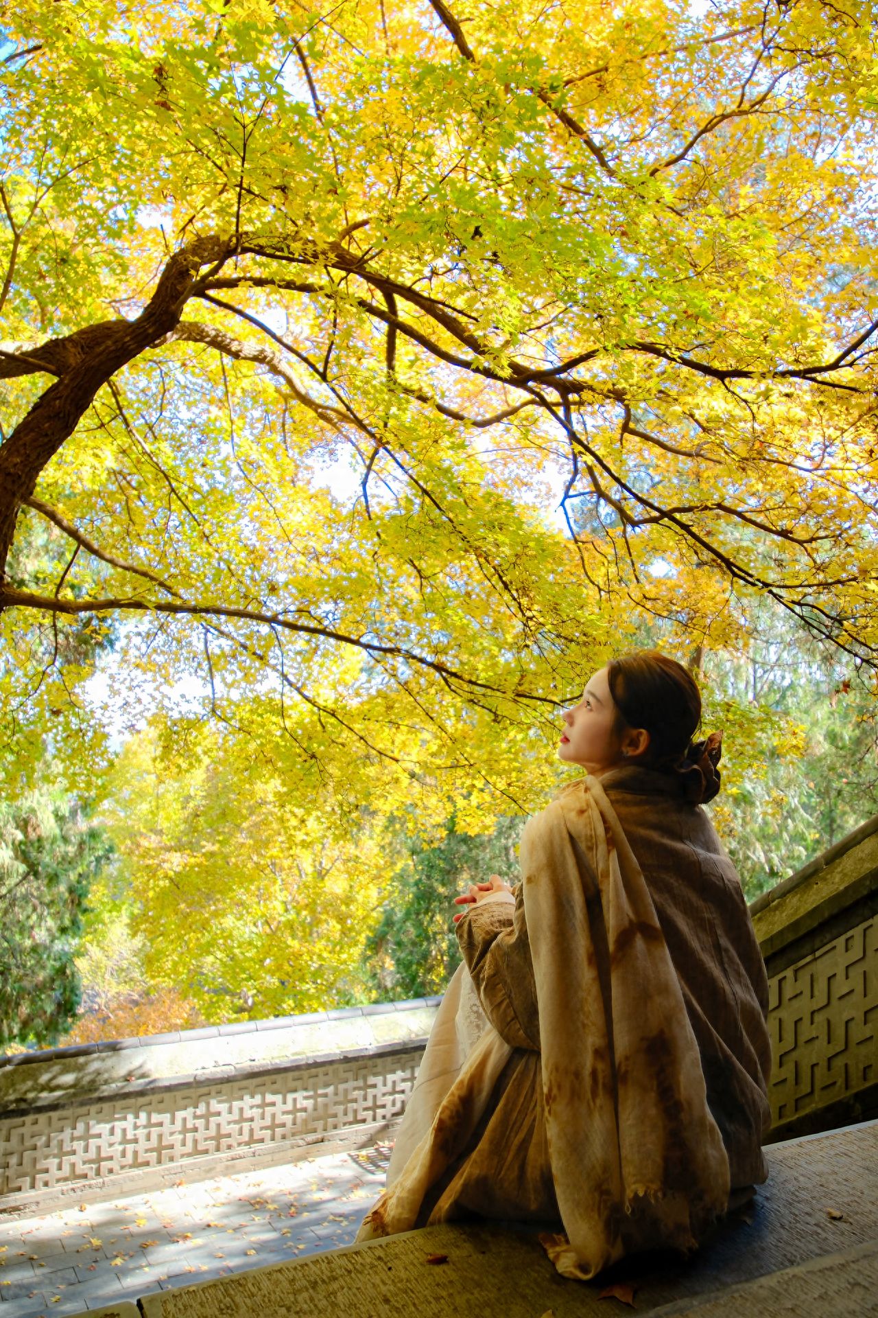 Photo by Beijing Xiangshan Park - Steps under the Ginkgo Trees