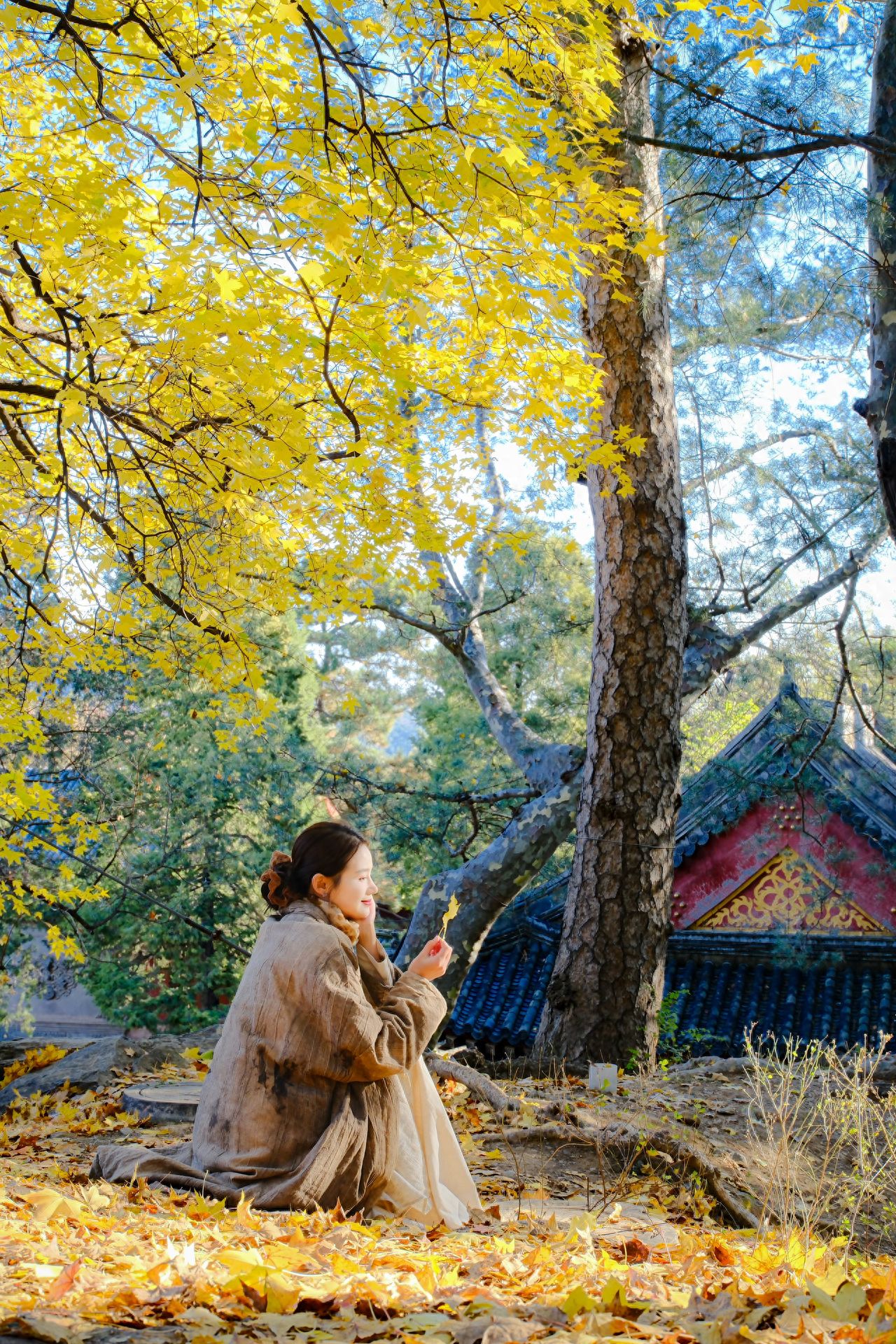 Photo by Fragrance Hill Park - Red Wall Chinese Architecture under Ginkgo Trees