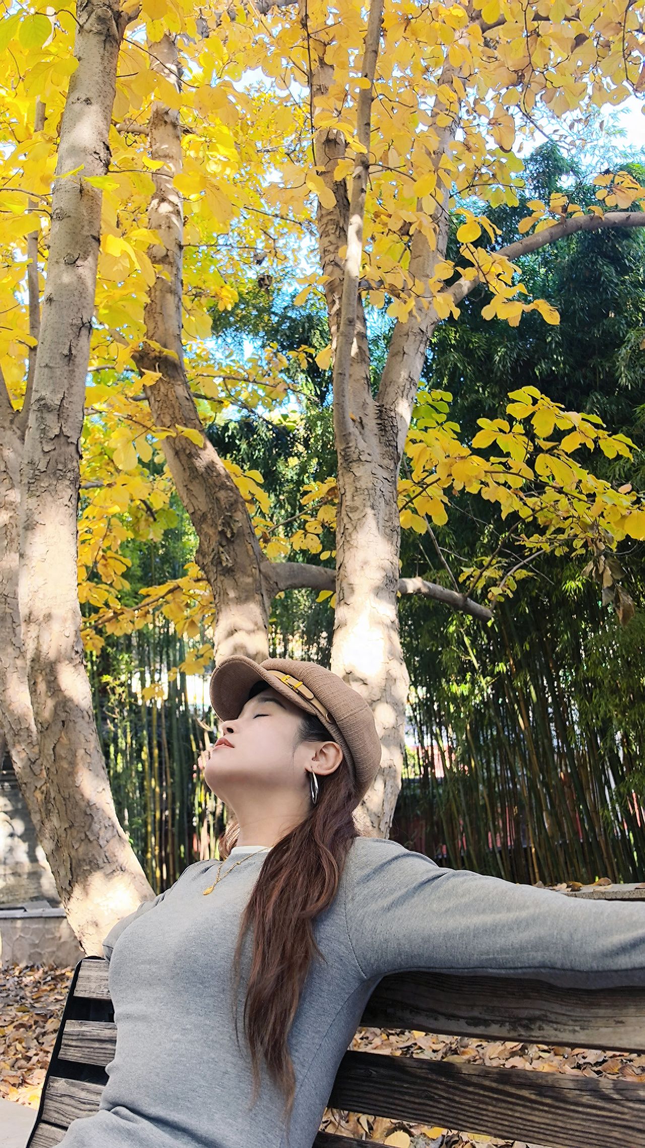Photo by Tanzhe Temple - Group photo with wooden chairs, ginkgo trees, and bamboo forest.