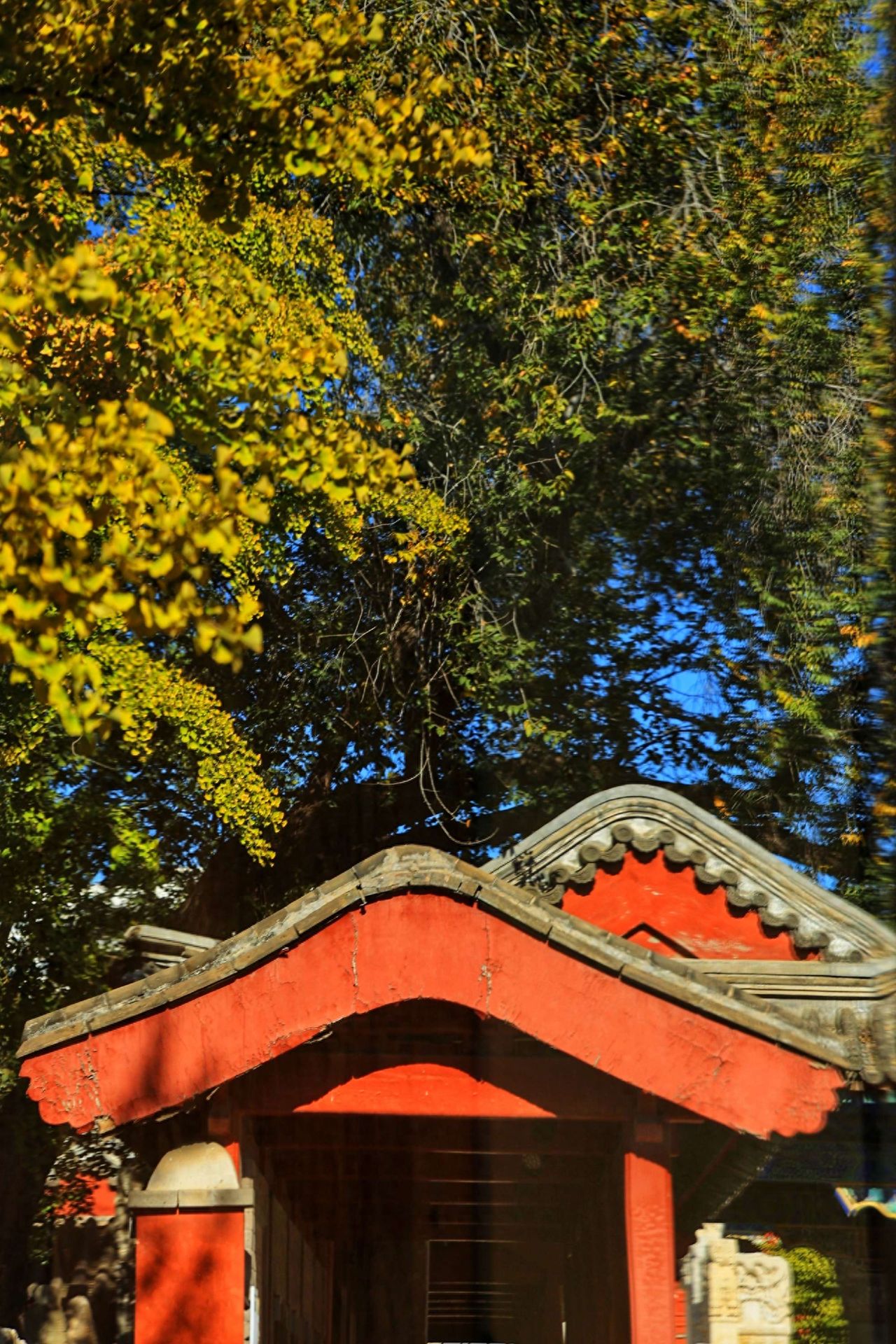 Beijing Five Pagodas Temple - Red Eaves Architecture and Green Trees — photo spot in Wutasi Pagoda  , China
