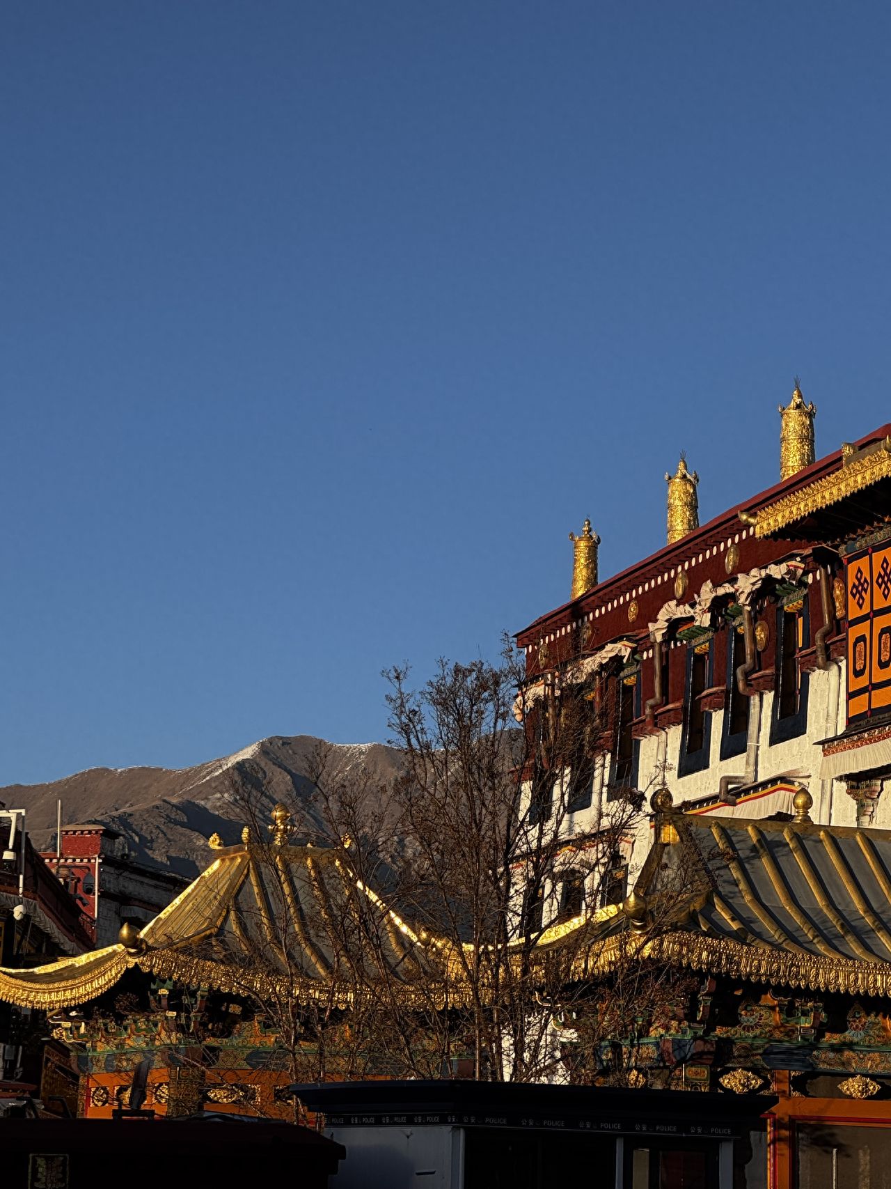 Photo spot in Jokhang Temple, China