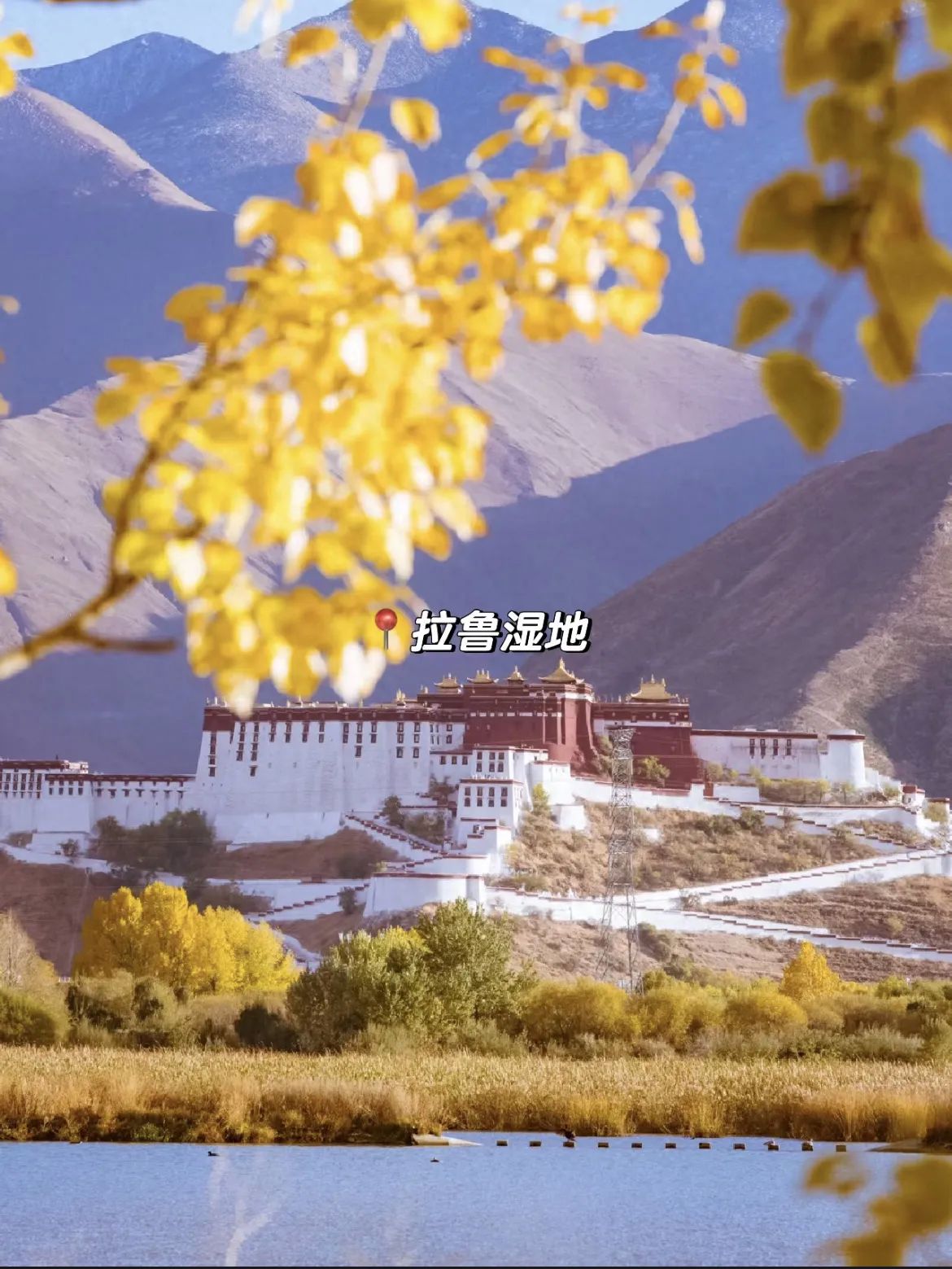 Photo spot in Laluxi National Nature Reserve, China