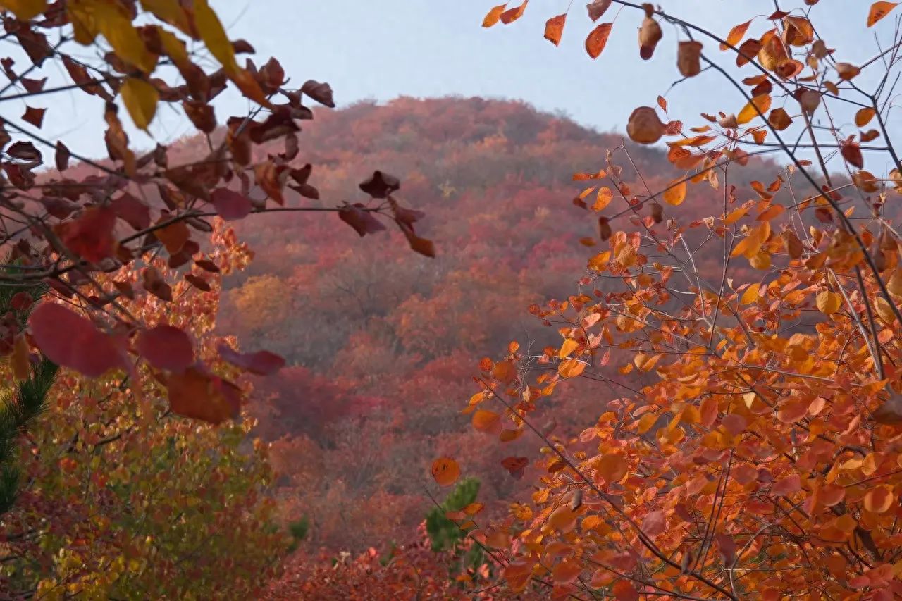 Photo spot in Pofengling Scenic Area, China